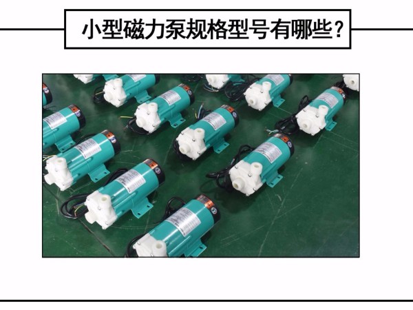 小型磁力泵規(guī)格型號有哪些？