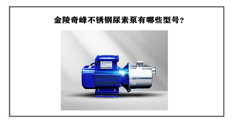 金陵奇峰不銹鋼尿素泵有哪些型號(hào)？
